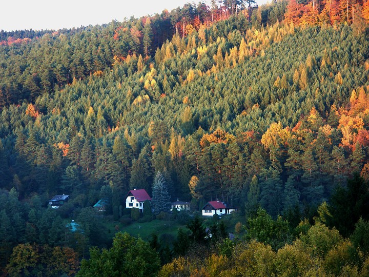 img00106.jpg